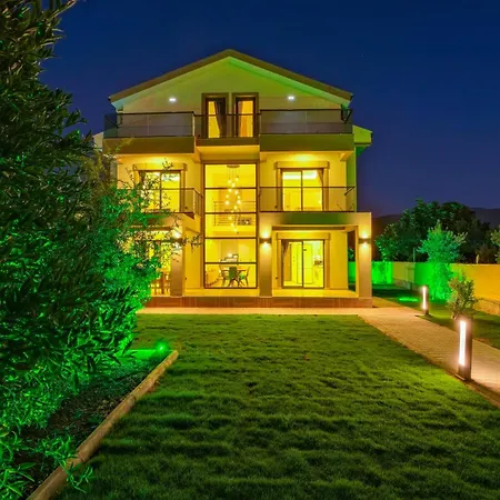 Merkez Tulipa 2 * 페티예