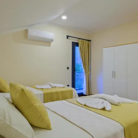 Merkez Tulipa 2 페티예