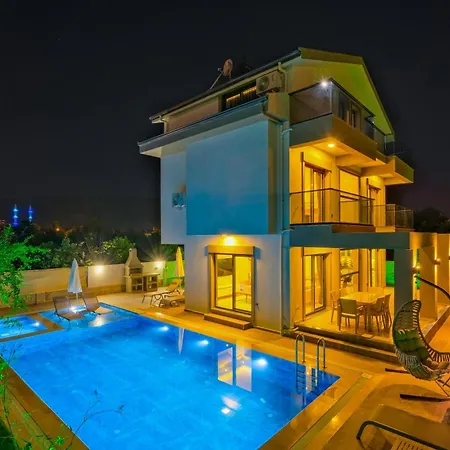 فيلة Merkez Tulipa 2